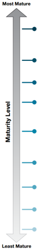 maturity-graphic