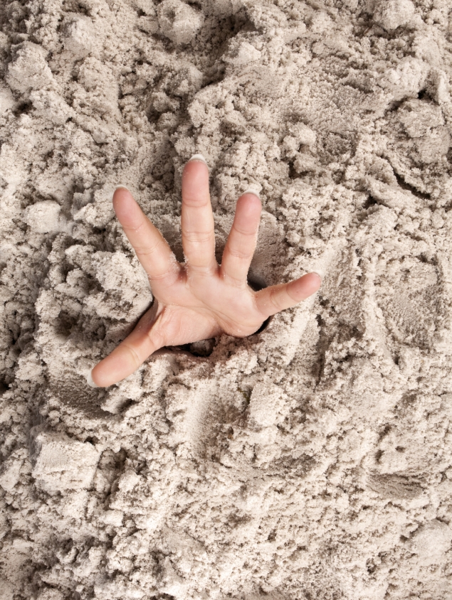 iStock_000015232918Medium-2MB