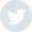 icon_Twitter_footer