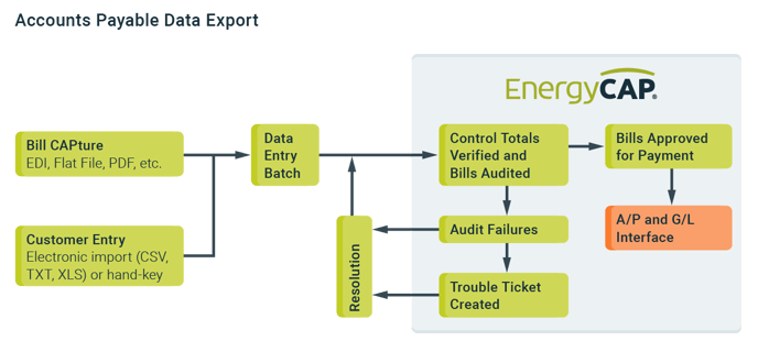 AccountsPayableDataExport-18